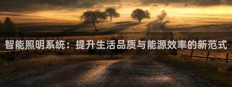 智能照明系统:提升生活品质与能源效率的新