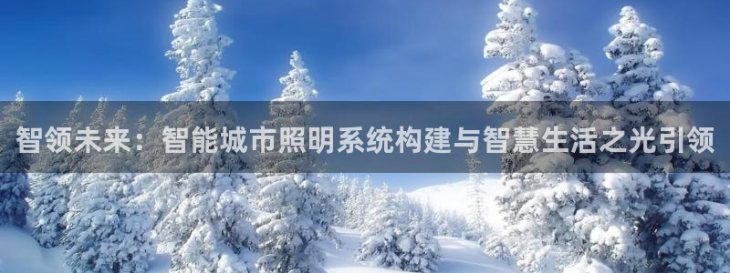 智领未来:智能城市照明系统构建与智慧生活