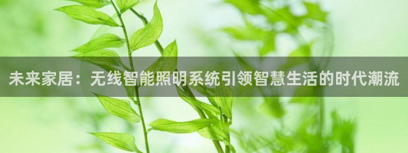 未来家居:无线智能照明系统引领智慧生活的