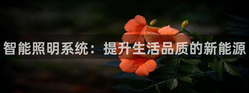 智能照明系统:提升生活品质的新能源
