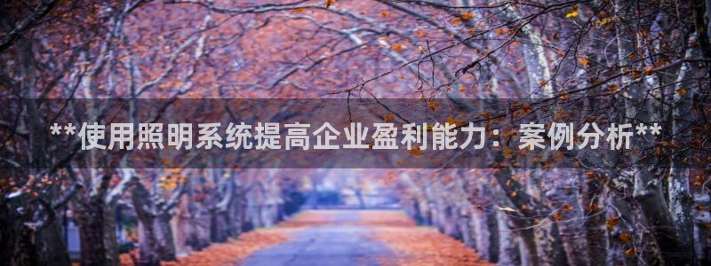 **使用照明系统提高企业盈利能力:案例分