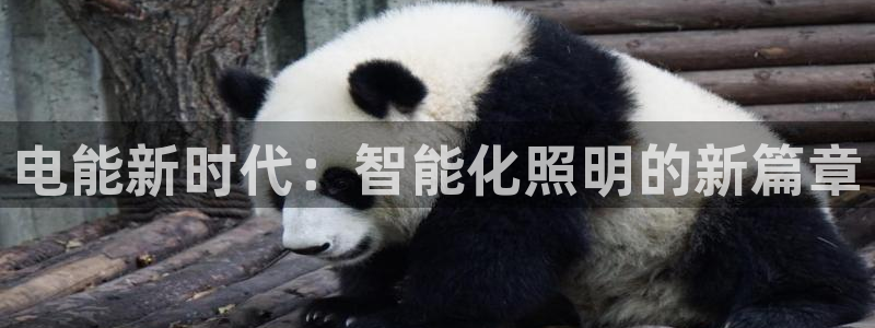 电能新时代:智能化照明的新篇章