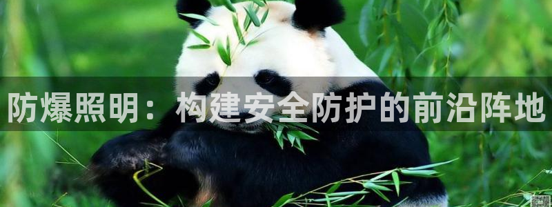 防爆照明:构建安全防护的前沿阵地